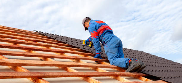 Best Roof Ventilation Installation  in Wells, NV